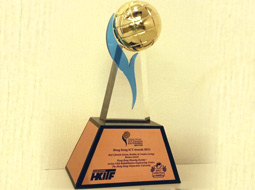 2015-04-10 HKHS won Hong Kong ICT Awards 2015: Best Lifestyle Bronze Award
