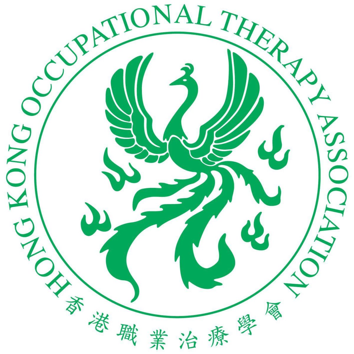 Hong Kong Occupational Therapy Association